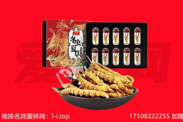 灯塔市回收虫草.jpg